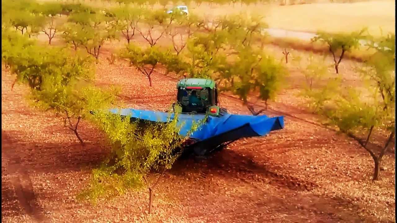 John deere 6220 cogiendo almendra con una topavi