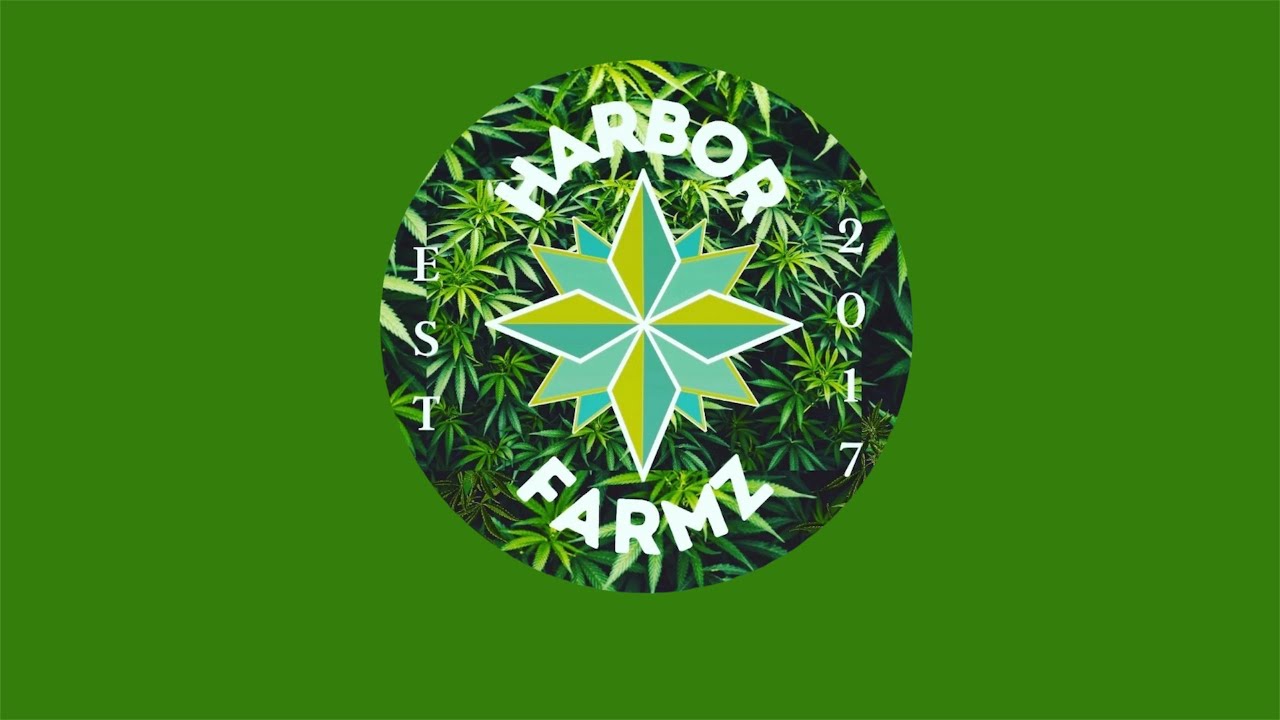 ALIEN PEBBLES from HARBOR FARMS STRAIN REVIEW