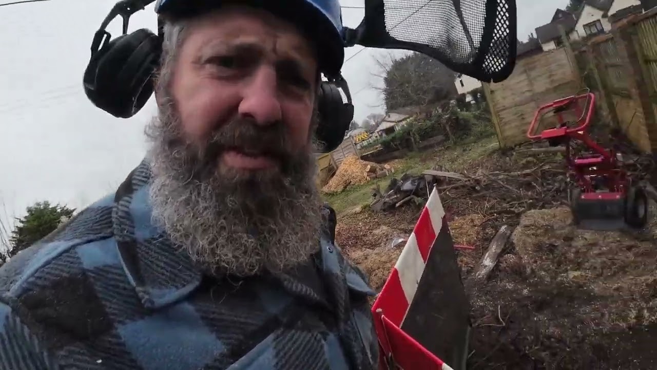 Day 2 clearing trees for driveway with stump grinding and firewood cutting.
