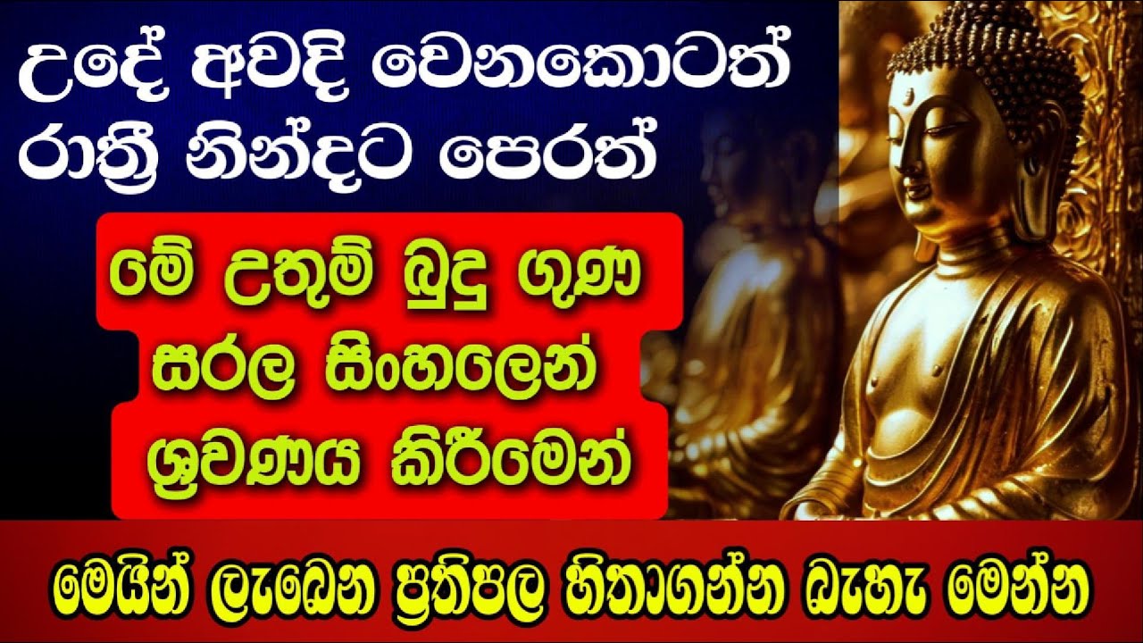 මෙයින් ලැබෙන ප්&zwj;රතිපල හිතාගන්න බැහැ මෙන්න 👌@niwanmagabuduguna  #niwan #niwanmaga #buduguna #budubana