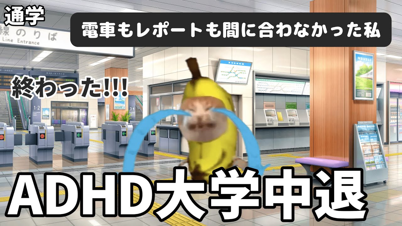 【ADHD】大学中退した話（猫ミーム 猫マニ）