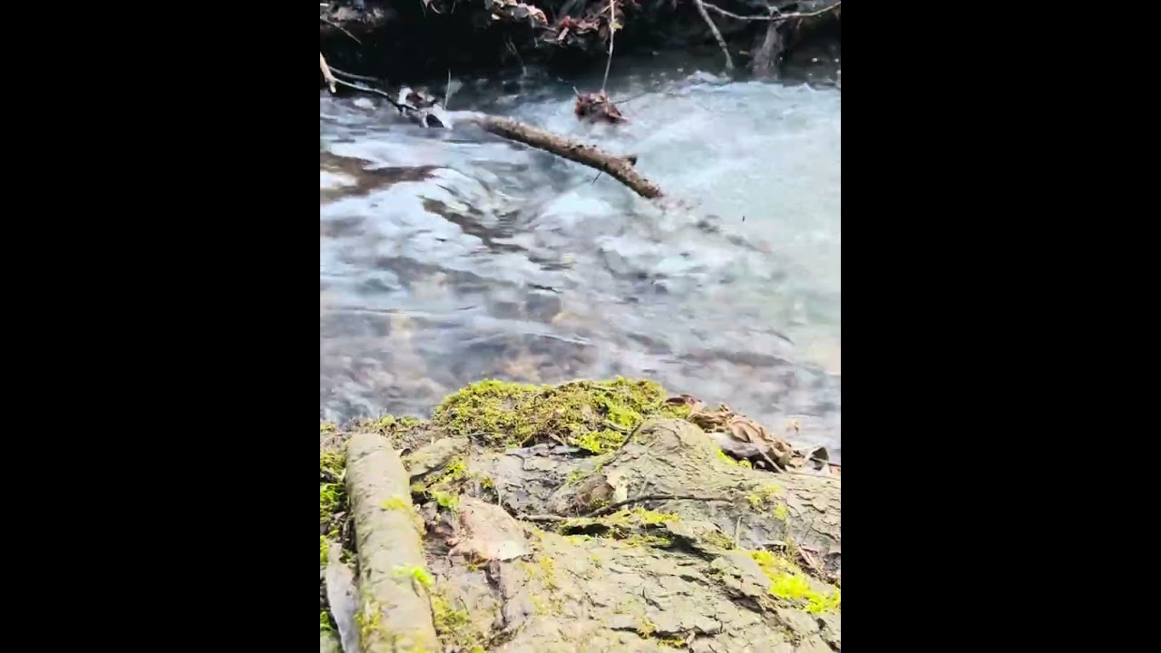 Relaxing River Sounds for Deep Sleep 🌊 Natural Water Flow & Nature Ambience