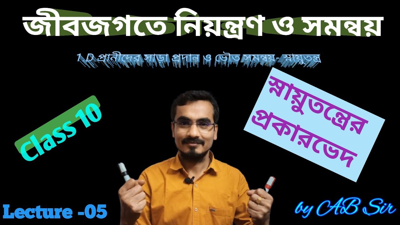 Types of Nervous System || স্নায়ুতন্ত্রের প্রকারভেদ || Class 10 Life Science|| WBBSE|| 