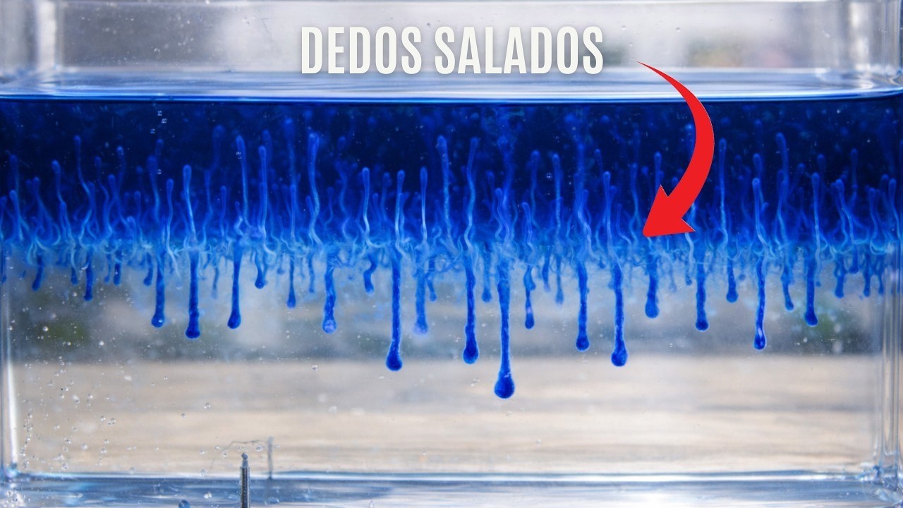 ¿Por qué este experimento con agua salada rompe las leyes de la física?