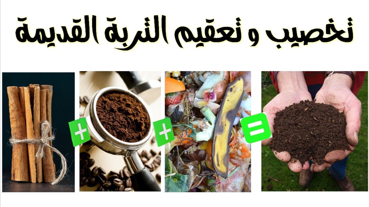 لا ترمي التربة القديمة، خصبها و عقمها بأشياء بسيطة و أعد الزراعة فيها