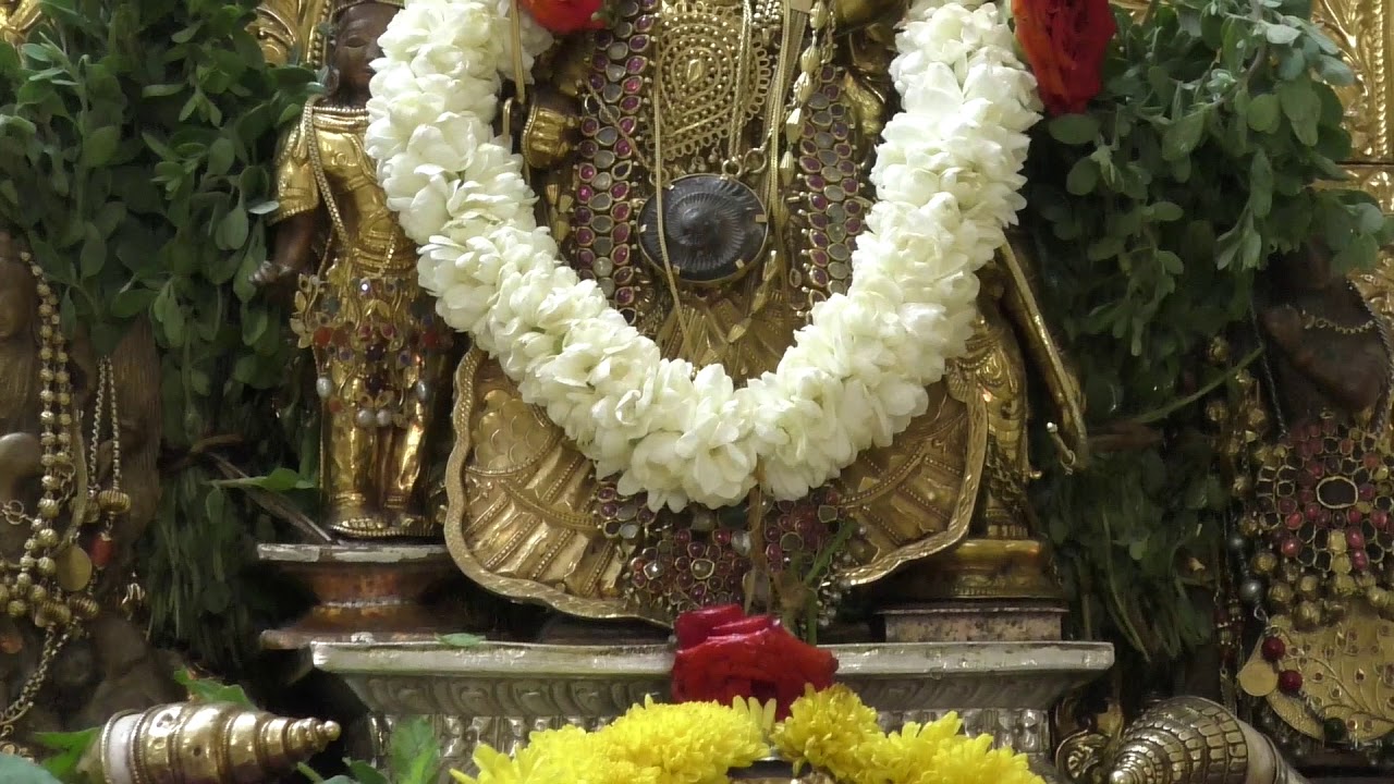 Samsthana Pooje  - Sri Vishweshatheertharu