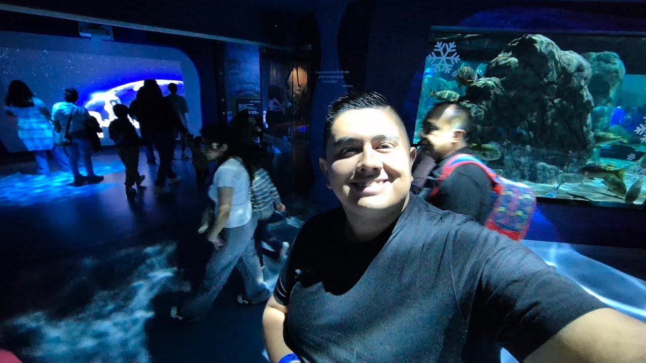 Acuario Michin CDMX 2025 Mi experiencia marina en la ciudad de México Capibaras