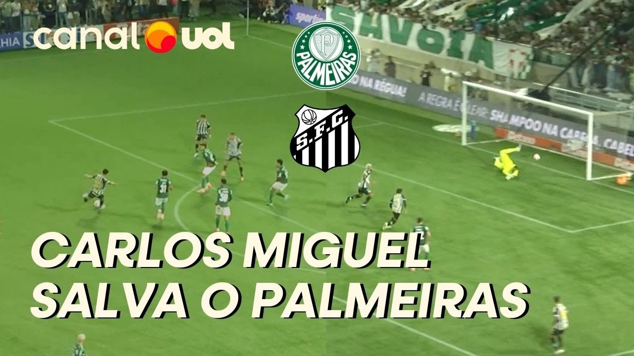 PALMEIRAS X SANTOS: CARLOS MIGUEL FAZ BOA DEFESA E GARANTE VITÓRIA DO VERDÃO