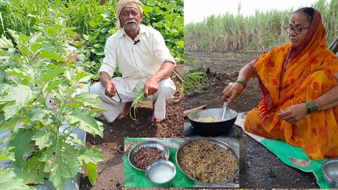 रानातच बसुन दुपारचं जेवणं आणि शाबुची खिचडी केली , रानातबी घात आल्या भागलायला | Tatyacha Mala