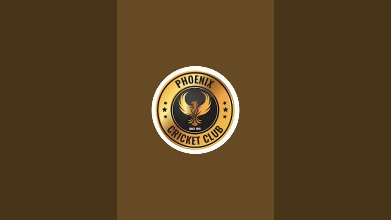 MTP_turf premier league is live!