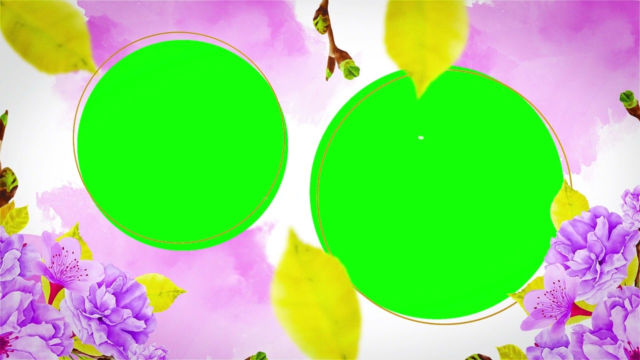 Free Wedding Invitation Templates Blank Green Screen | Wedding Invitation Green Screen Templates
