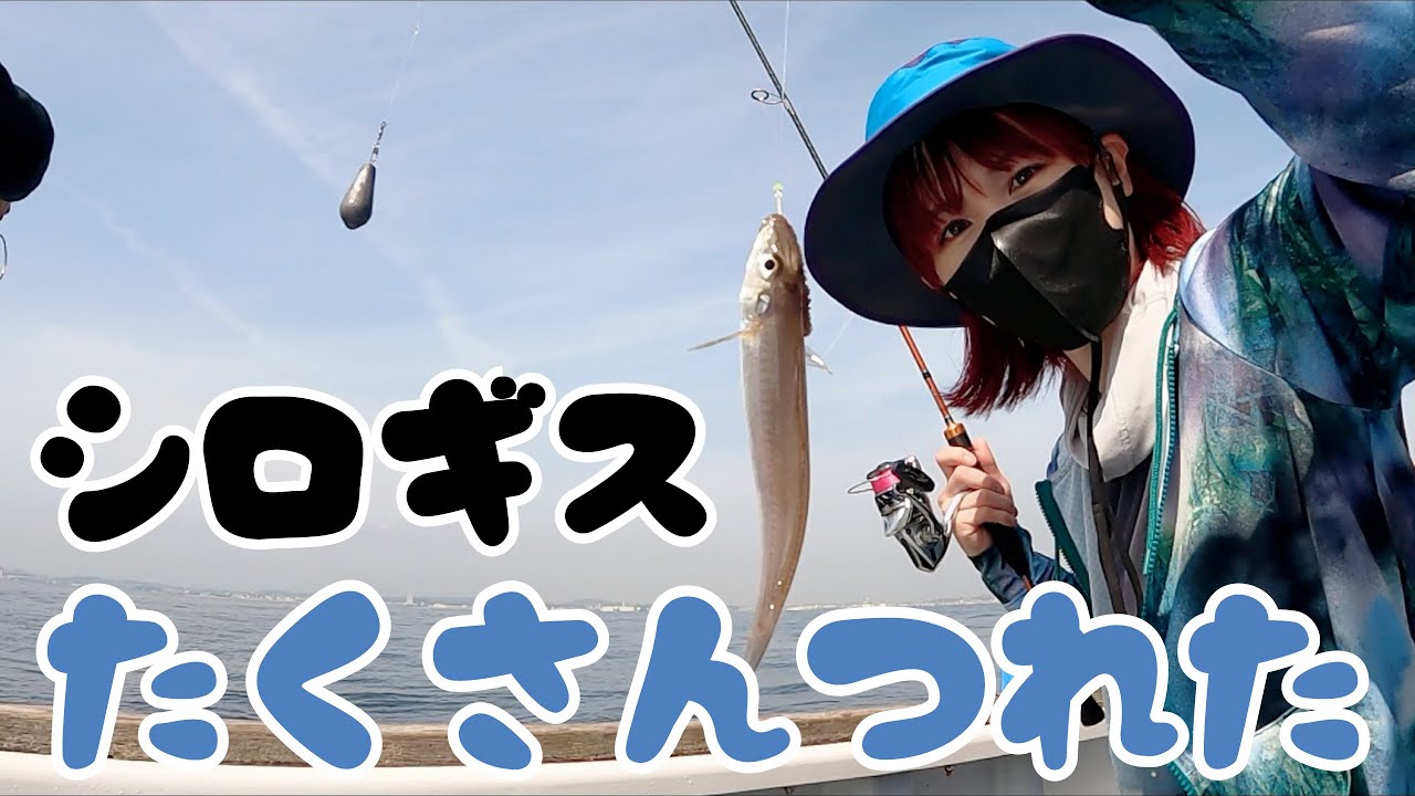 天気のいい日に大好きなシロギスを釣ろう！【船釣り 晴れ シロギス釣り編】