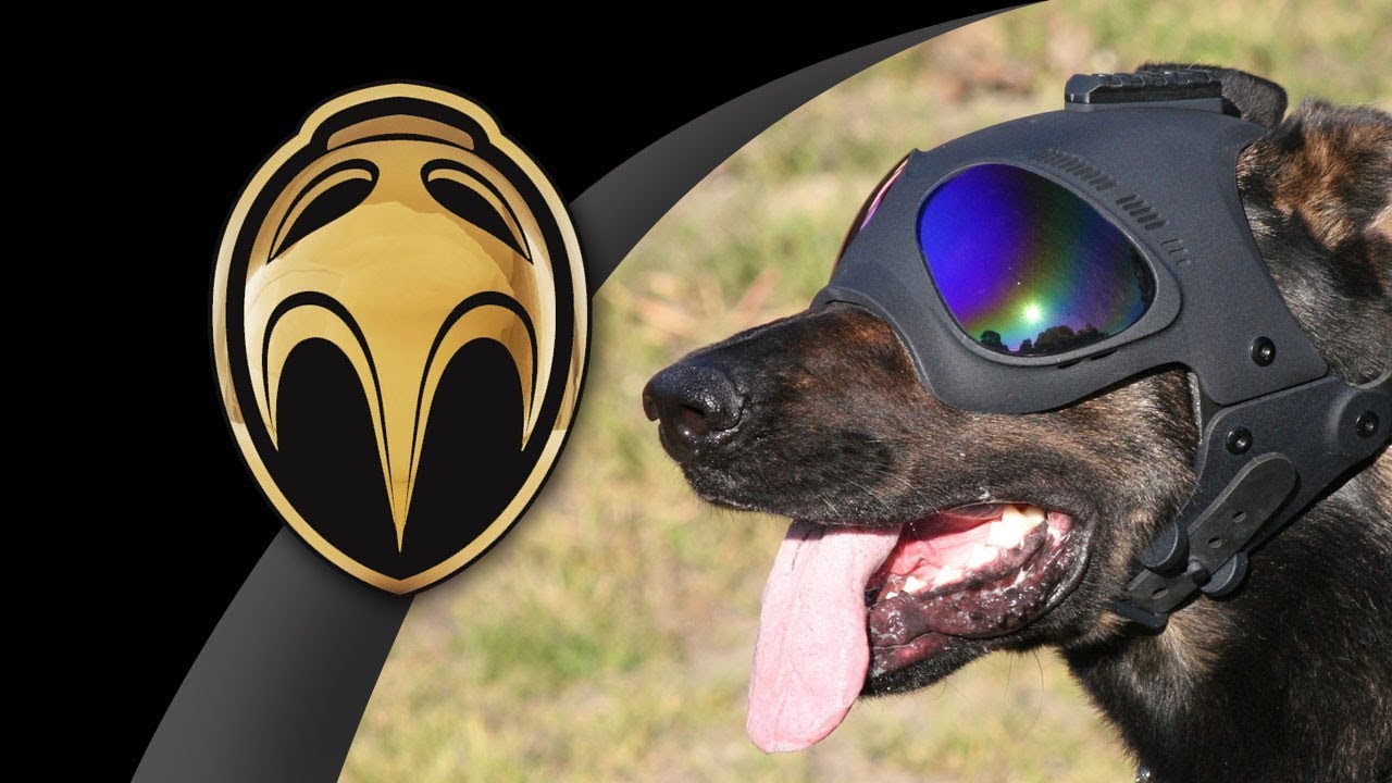 K9 Helm 2018 Promotional Video