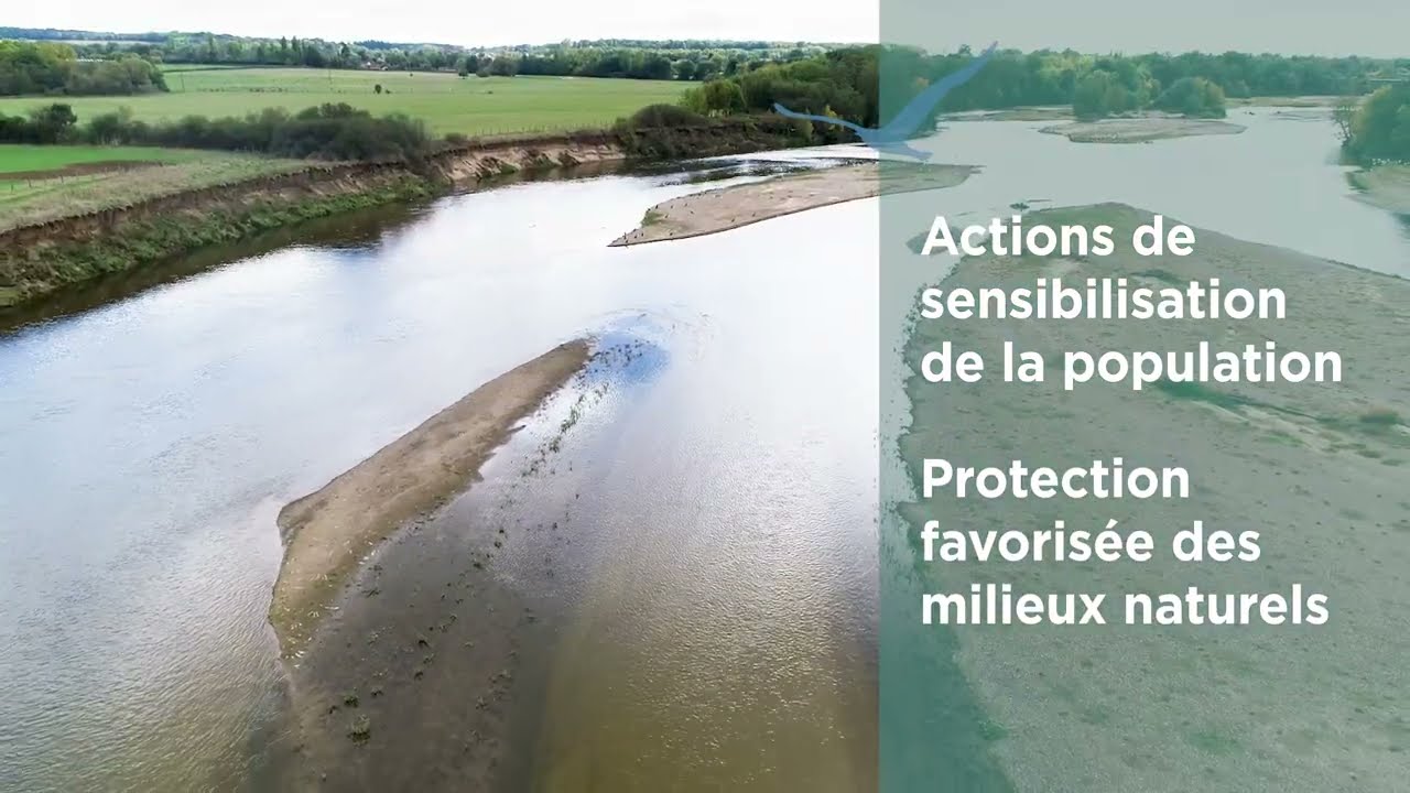 Notre Loire Grandeur Nature : regards crois&eacute;s d'acteurs sur la gestion du site du Bec d'Allier