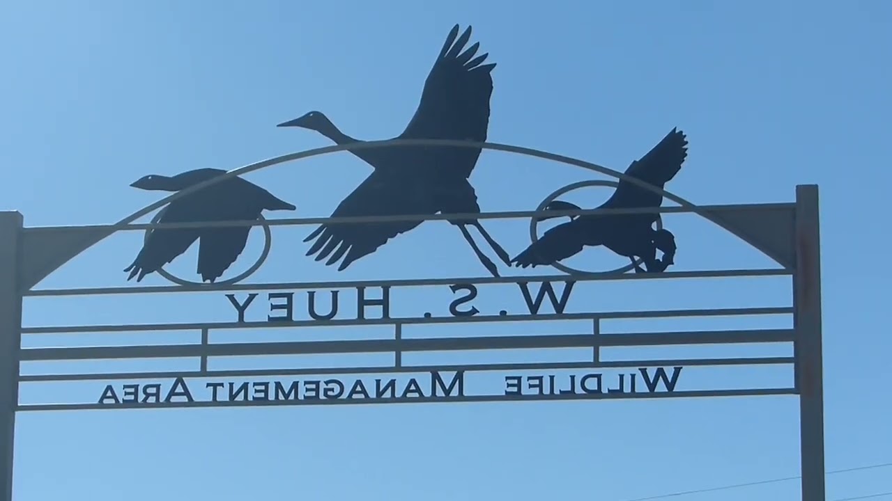 W.S. Huey Waterfowl Sandhill Cranes