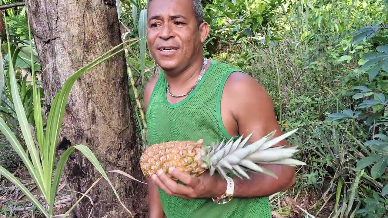 ADUBANDO AS PLANTAÇÕES, LEIVEI MUDAS PRA MINHA SOGRA 