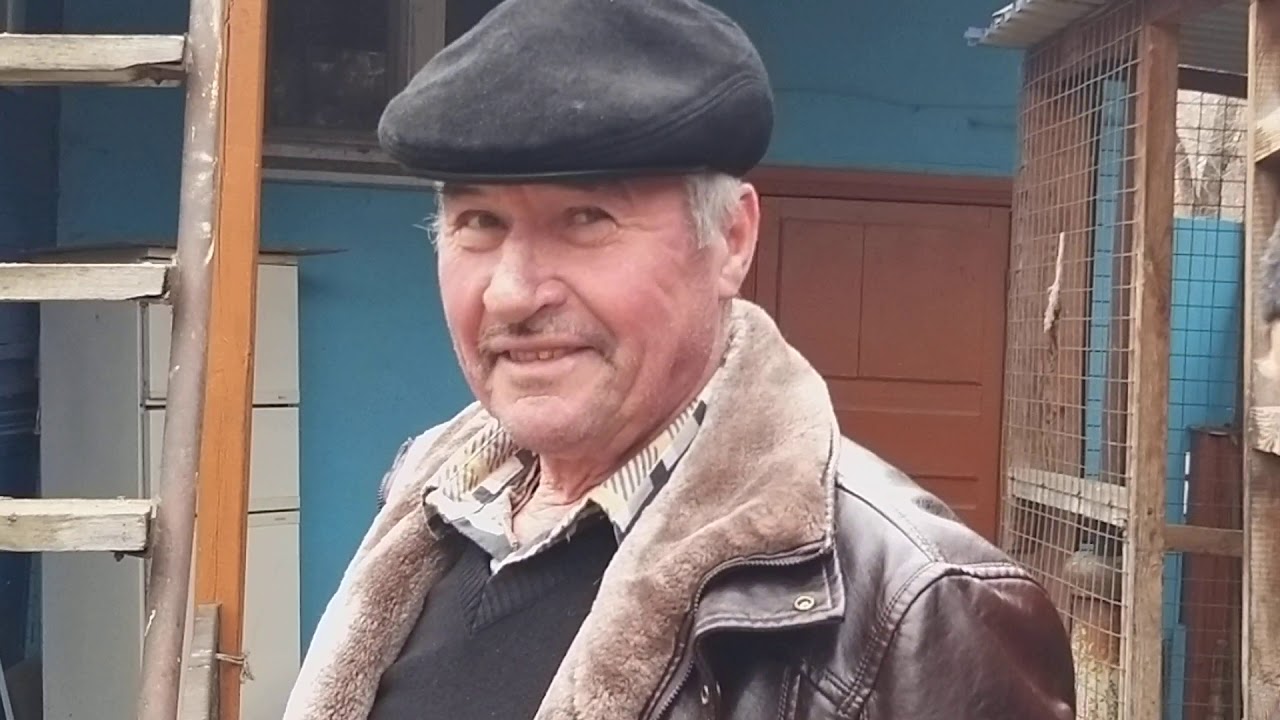 #Голуби #Николаевские.   Голуби Воронина Алексея.