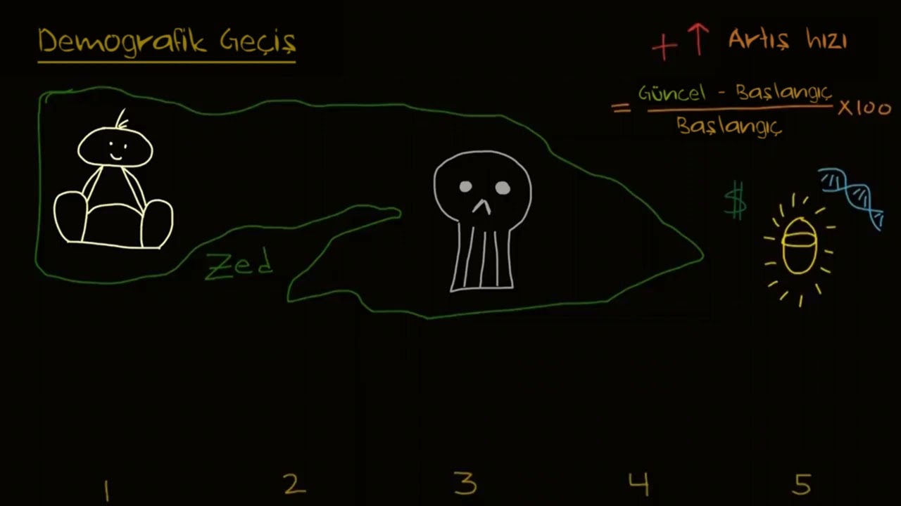Demografik Geçiş Teorisi ve Nüfus Piramitleri (Sosyoloji)