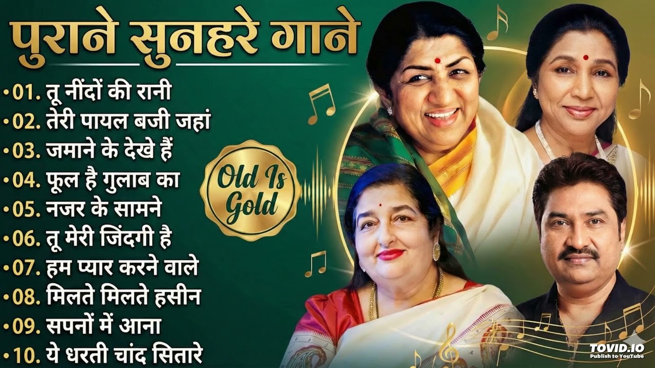 Tu Nindo Ki Rani Dj Remix Song || 90s Hindi Song Dj Reimix || Sadabhar Old Hindi Gaane