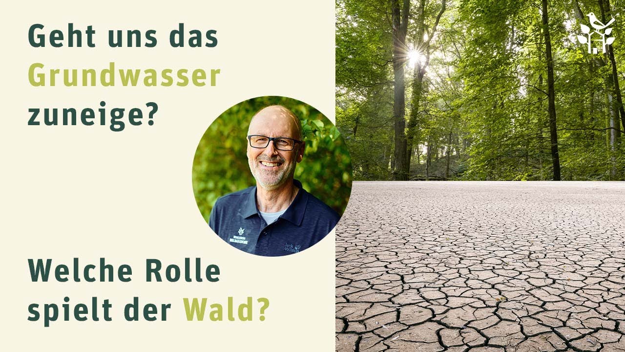Welche Rolle spielt der Wald f&uuml;r unser Grundwasser? -  Peter Wohlleben