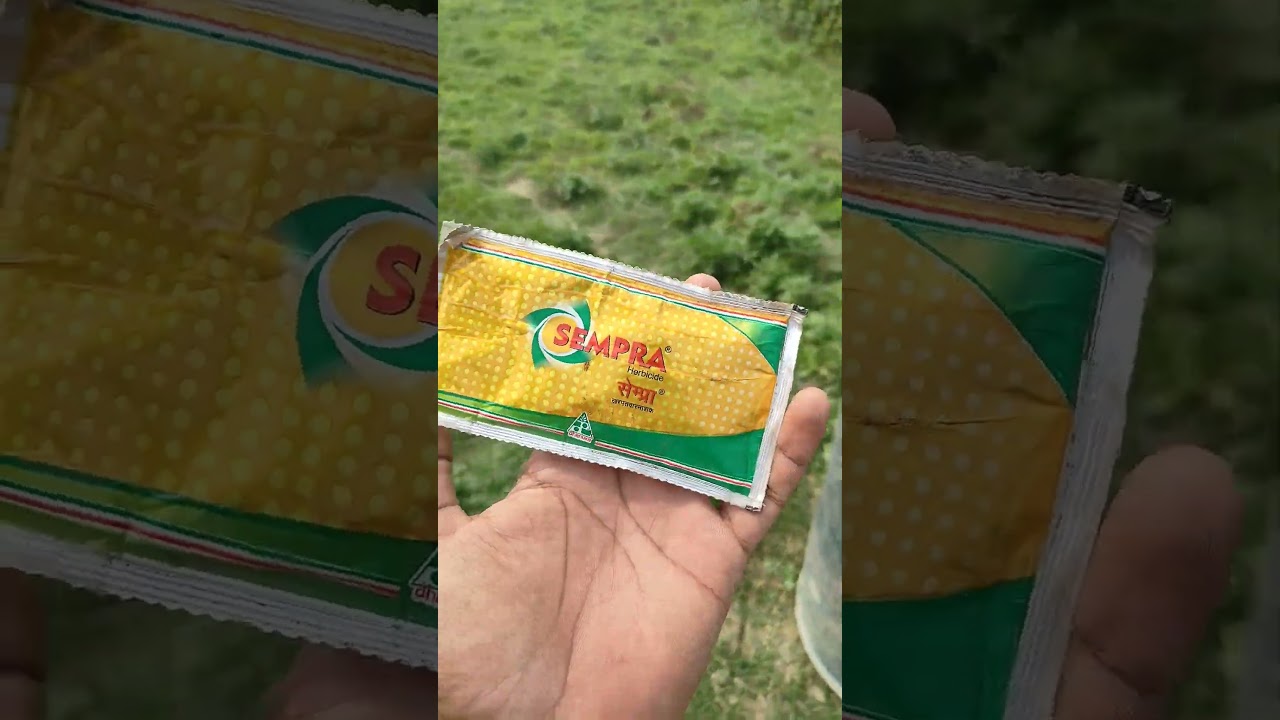 Sempra spray for 