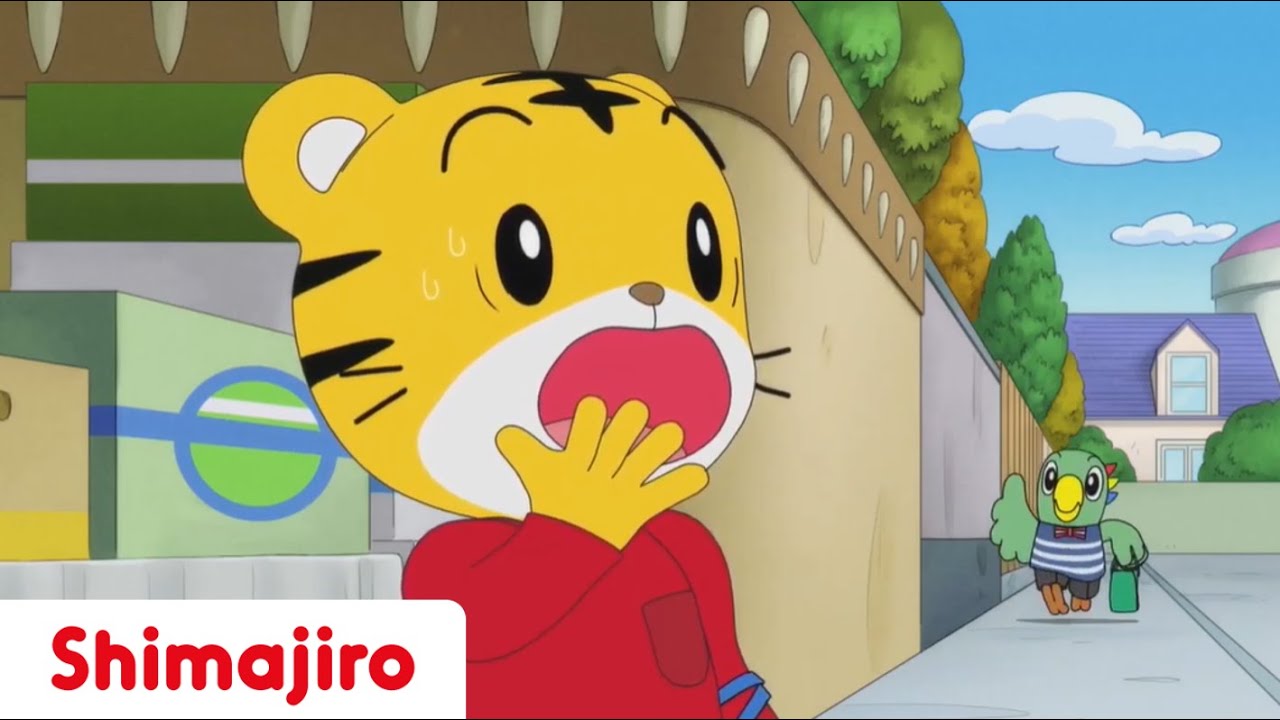Shimajiro Loses the Shopping List! | My First Time Shopping | Kids videos for kids |  Full Episodes