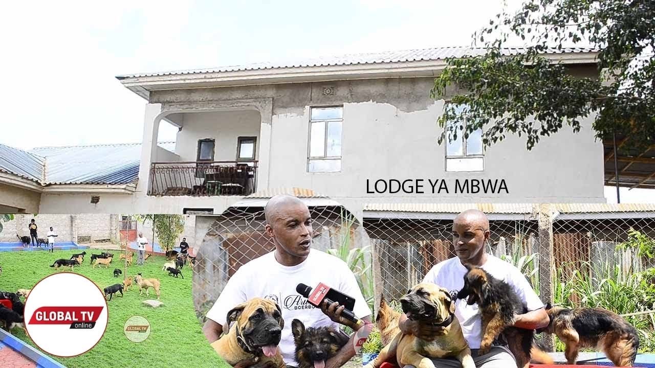 KIJANA ANAYEMILIKI SHAMBA LA MBWA ARUSHA, AFUNGUA LODGE YA KULALA MBWA, AFUNGUKA - 