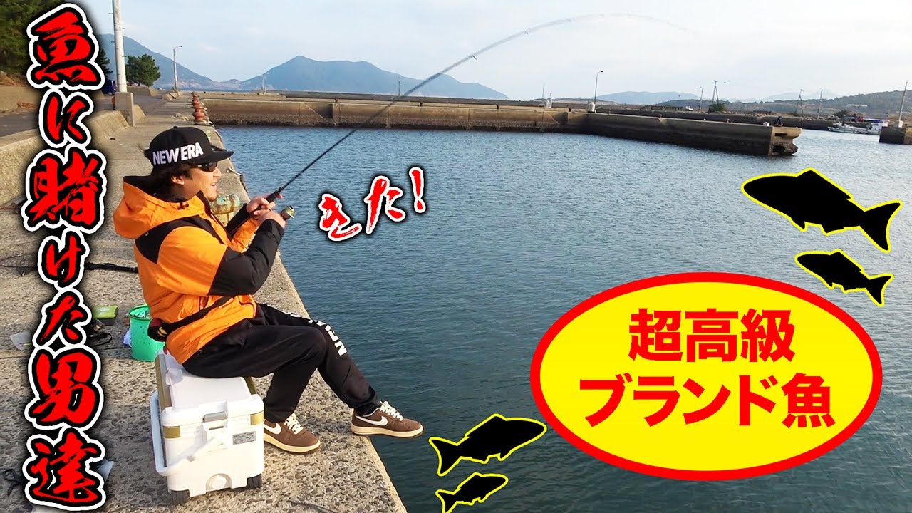 【島遠征#1】漁港に入ってきた島のブランド魚を狙う！！