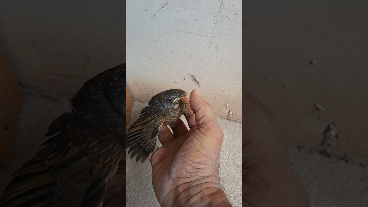 Olha que bebê mais lindo 