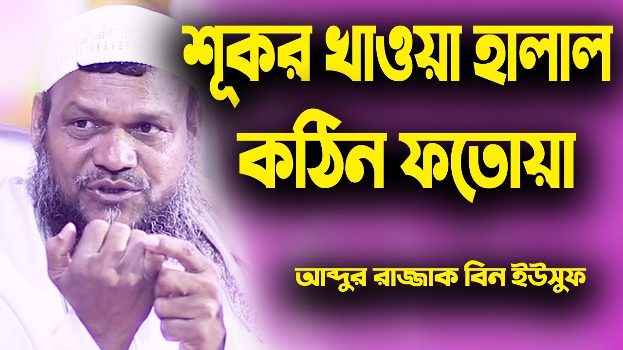 শূকরের মাংস খাওয়াও হালাল │কঠিন ফতোয়া দিলেন শায়খ আব্দুর রাজ্জাক বিন ইউসুফ│Abdur Razzak BIn Yousuf