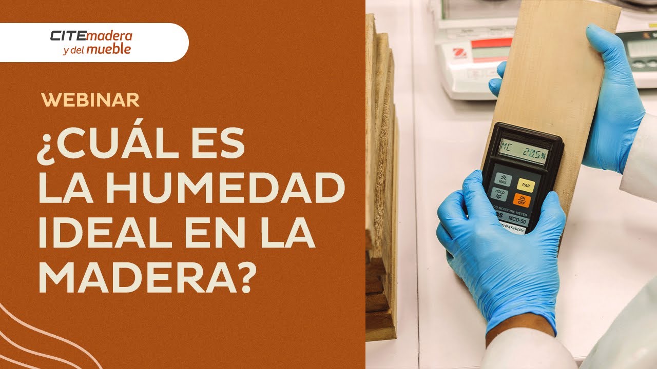 Webinar  Humedad en la madera, evita problemas en tus muebles