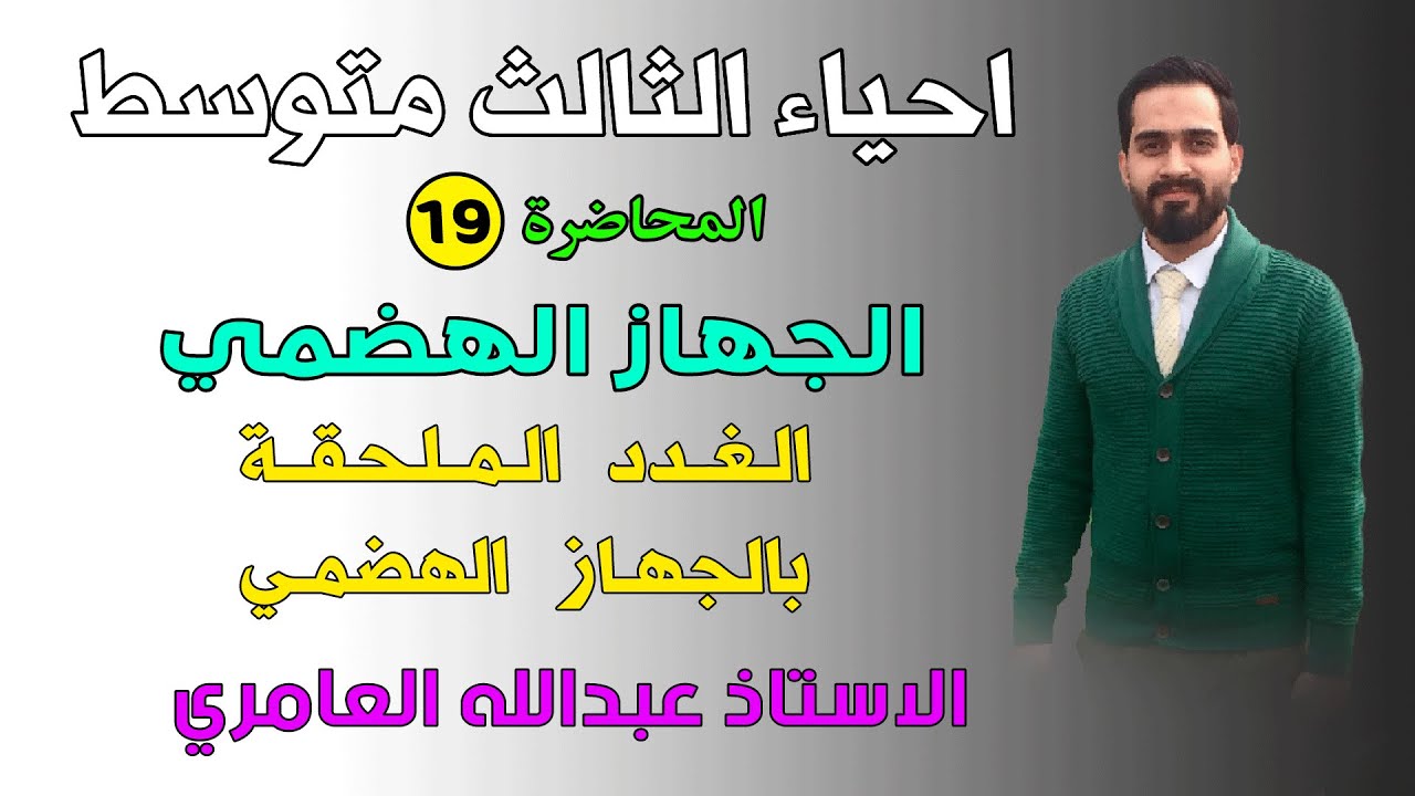 الجهاز الهضمي ( الغدد الملحقة ؛ الغدد اللعابية - البنكرياس - الكبد ) أحياء الثالث متوسط (م19)