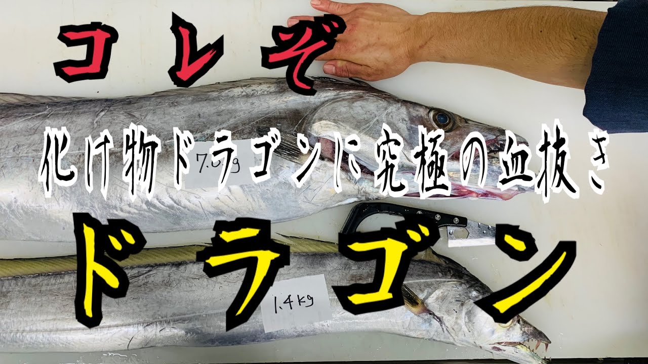コレぞ ドラゴン！ 【化け物ドラゴンに究極の血抜き】編 vol.314