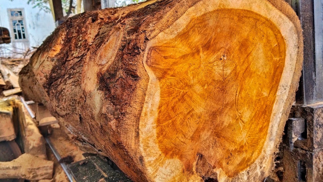 very beautiful wood, black grain and super hard.