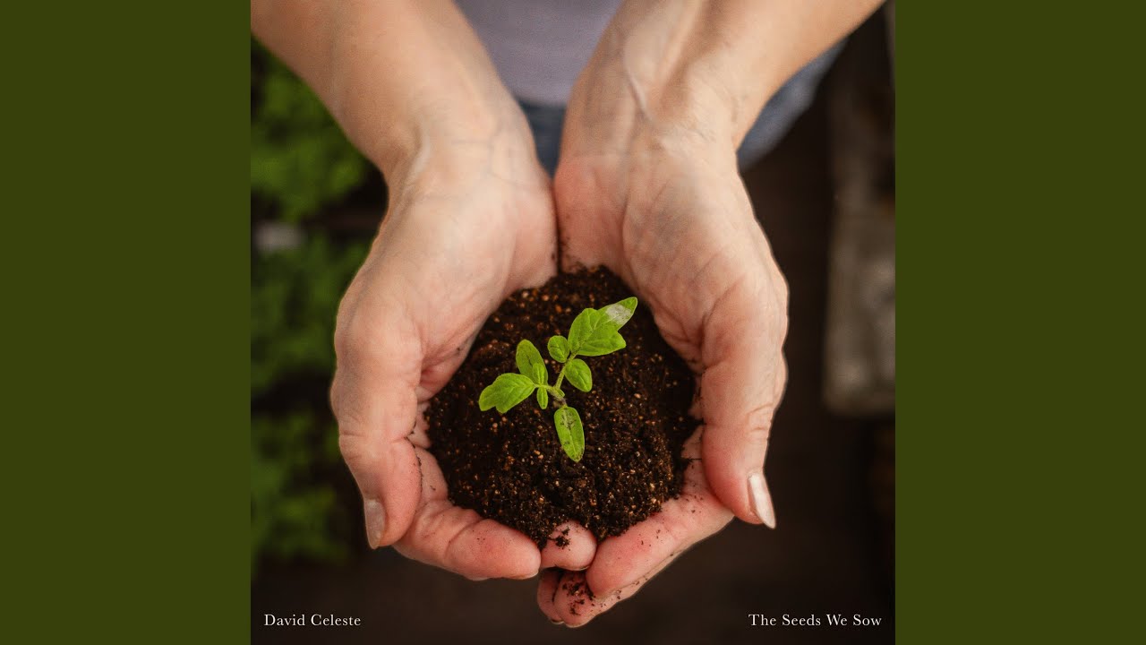 Planting the Seeds