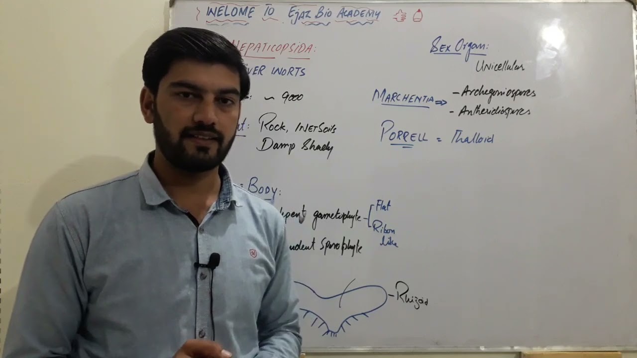Hepaticopsida, Bryopsida & Anthoceropsida | Classes of Bryophytes Explained with Examples by SCORE