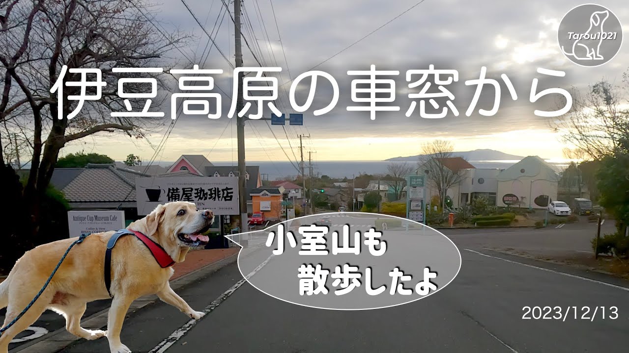 伊豆高原の車窓から（＋小室山の散歩）　「「人も犬もシニア」の伊豆高原移住生活