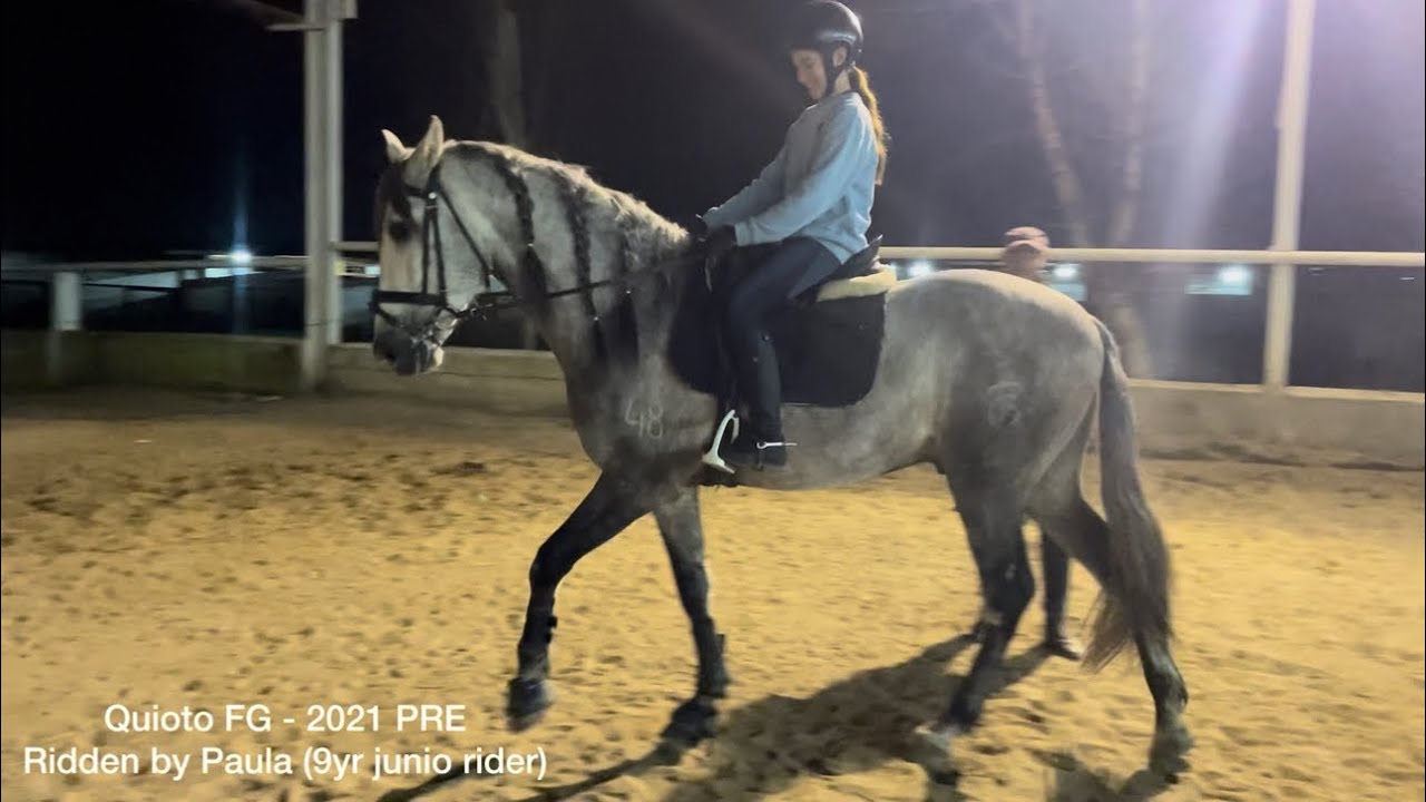 Quioto FG - 2021 PRE (ridden by paula 9yr junior rider)