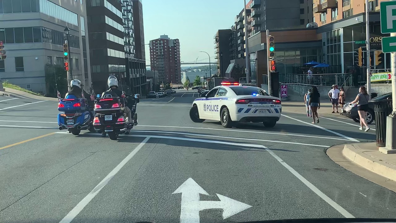 Police escorting Duck and Ducklings crossing the street
