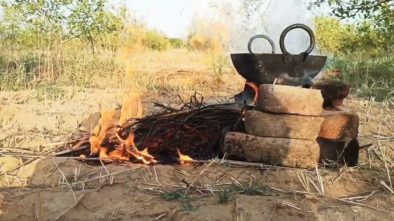 hot oil vs water experiment video