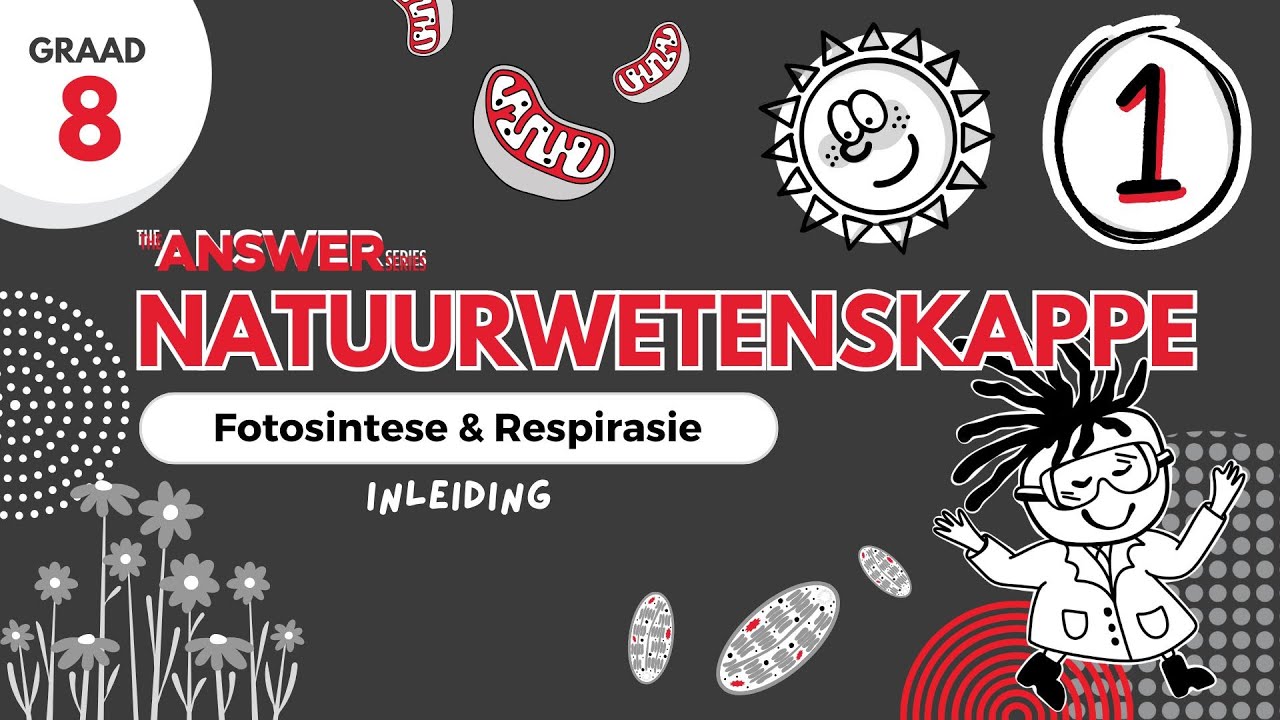 GR 8 FOTOSINTESE & RESPIRASIE &ndash; Inleiding #1