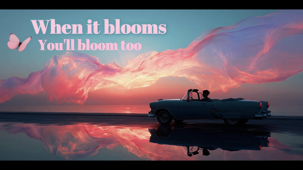 When it blooms [No Copyright Music]#Drive#Cafe#Mood#BGM#Healing
