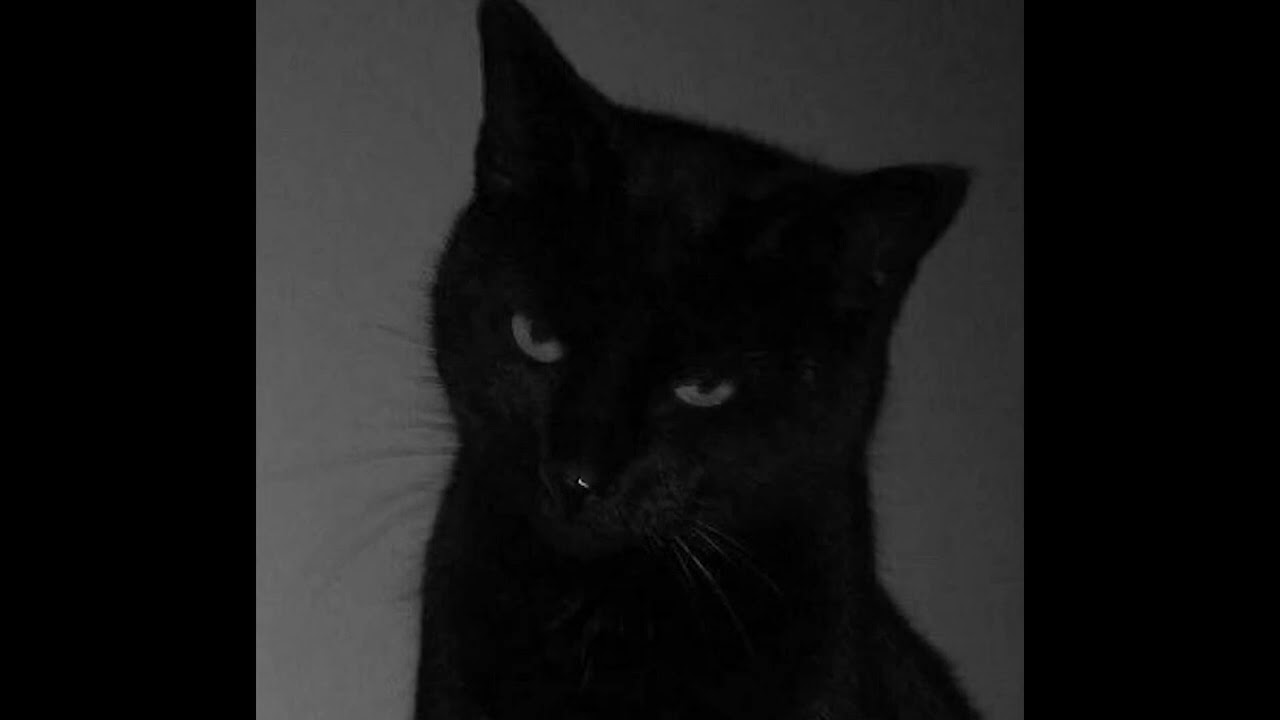 (FREE) Rap Beat - Black Cats | Old School Freestyle Boom Bap Type Beat