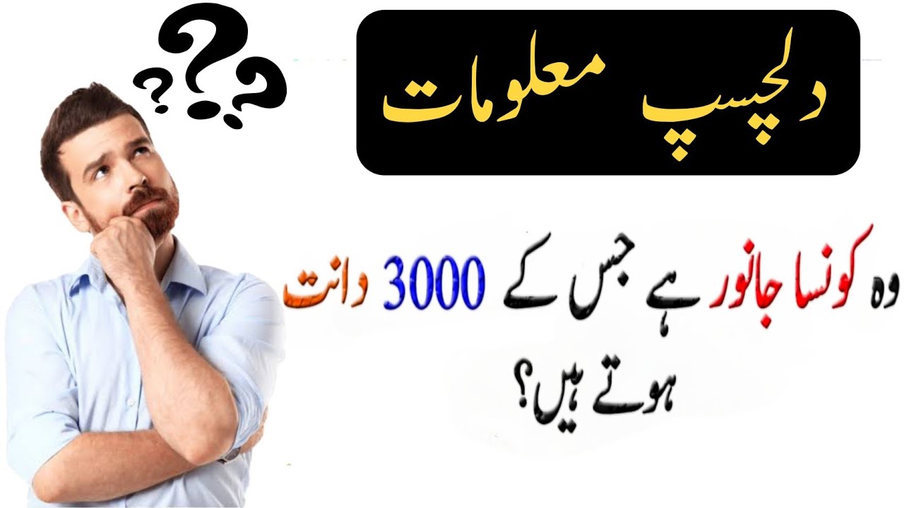 Paheliyan In Urdu With Answer #18 Riddles In Urdu & Hindi - Amazing Facts & Brain Facts In Urdu