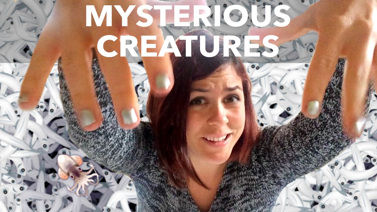 MYSTERIOUS CREATURES for Android and iPhone: Gameplay and Review