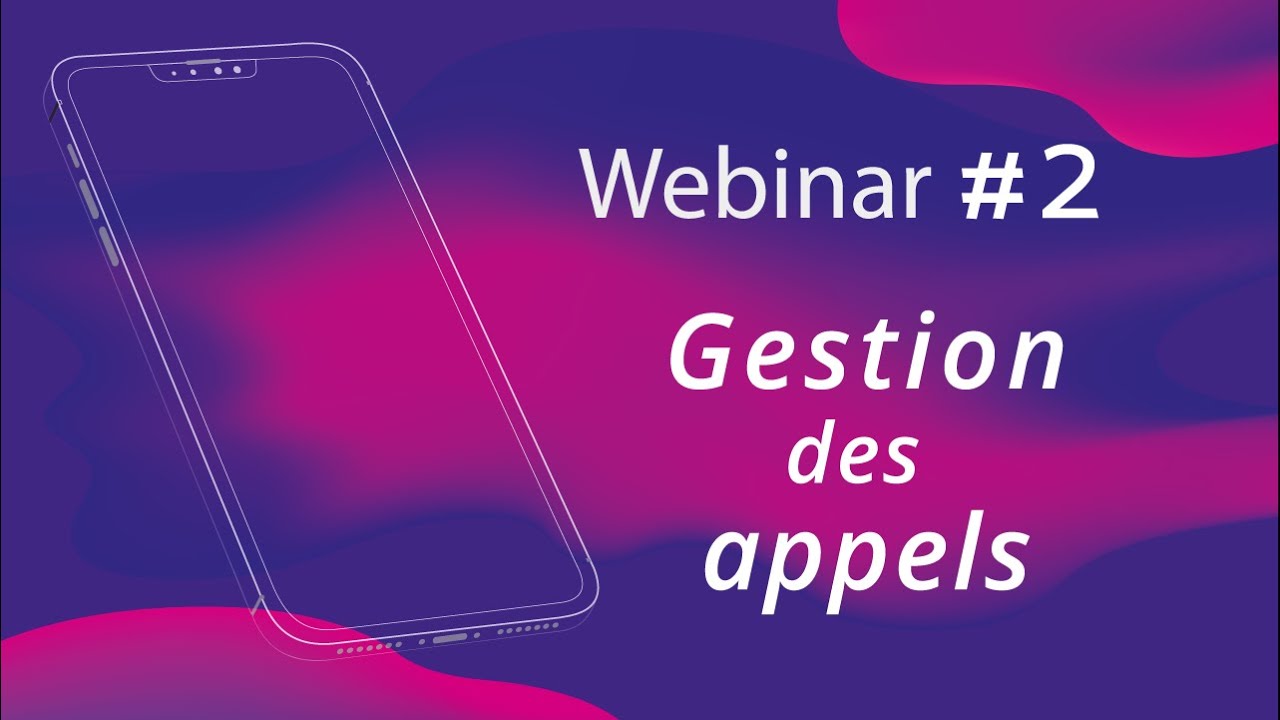 webinar #2 La gestion des appels ( ACD - groupes appels - SDA)