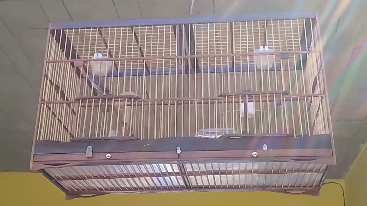 Galera da uma moral aí pró canal 