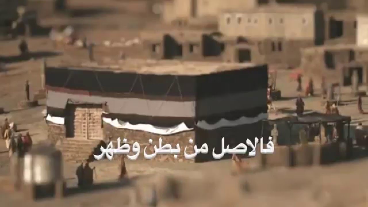 شيلة قنبلة هذيل - اصل اصل اصل ☠