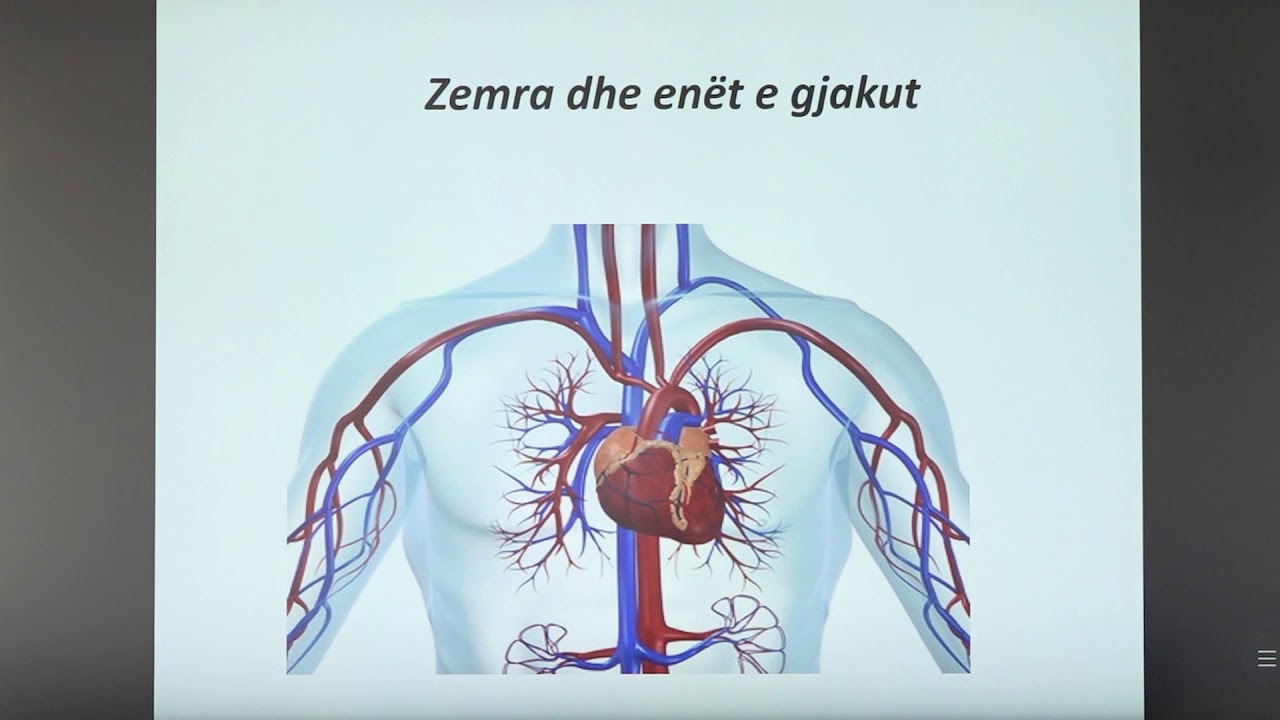 7 06 017 - Java e nëntë - Biologji - sistemi i qarkullimit të gjakut