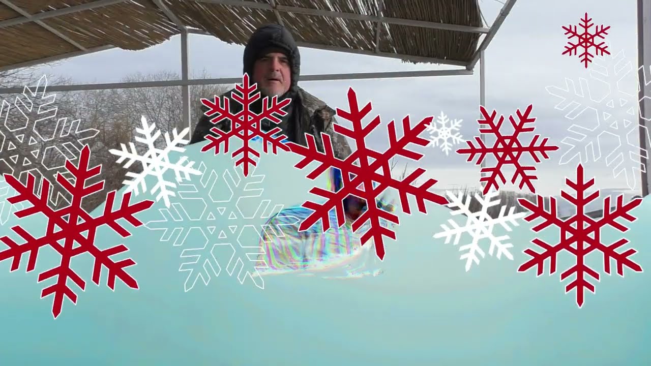 Scordolea și saramură de merluciu
